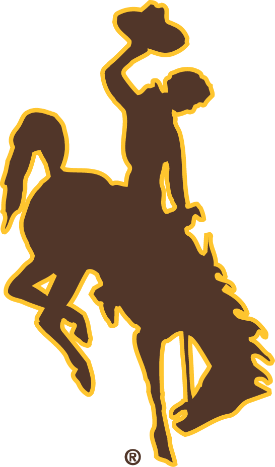 Wyoming Cowboys 2006-Pres Primary Logo diy iron on heat transfer